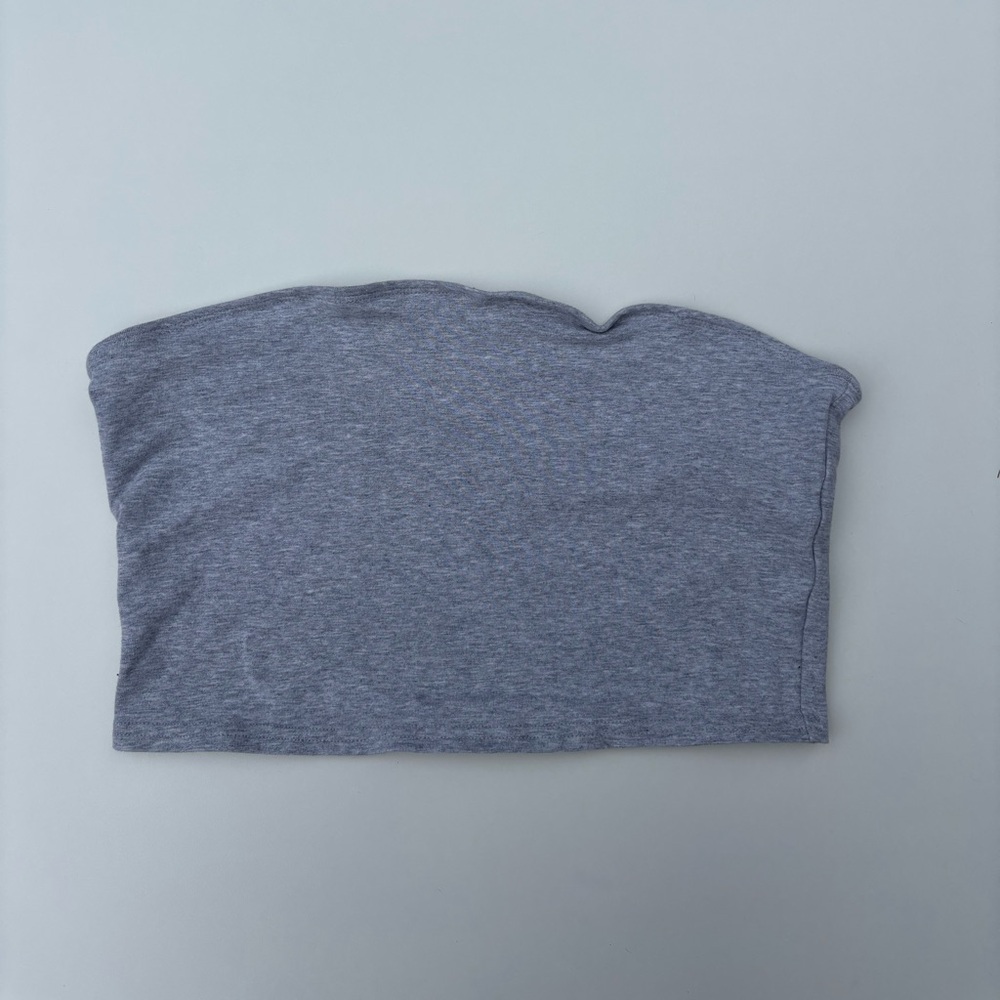 ARITZIA Tna Chill Virginia Cropped Tube Top in Grey
